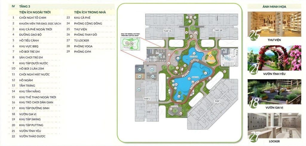 MB-tang-3-green-skyline-1024x490